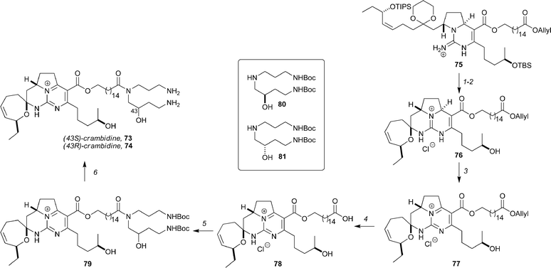 Overman's synthesis of crambidine. Reagents and conditions: (1) TBAF; (2) PPTS, 40 °C, 40% (2 steps); (3) CAN (3 equiv.), MeCN, NaHCO3 (10 equiv.), 65%; (4) Pd(PPh3)4, morpholine, rt, 75%; (5) 80 or 81, BOP, Et3N, ∼80%; (6) 3 M HCl, 0 °C, ∼75%.