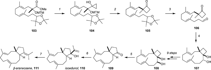 Key steps of the Corey syntheses of isoedunol and β-araneosene. Reagents and conditions: (1) 103, (iPrO)3TiCl (2.5 equiv.), THF, 0 °C, then EtMgBr (5 equiv), 60% (along with 35% of the ethyl ketone derived from 103); (2) Me3Al, CH2Cl2, −10 °C to 4 °C, 90%; (3) 4 : 1 AcOH–H2O, 55 °C, then NaIO4, 92%; (4) (a) syringe pump addition over 2 h of 106 to SmI2 (8 equiv.), THF, reflux, 78%, (b) Et3N, MsCl, CH2Cl2, 98%; (7) reverse addition of 109 to 2-lithiopropene, Et2O, −10 °C, 82%; (7) (a) MOMCl, iPr2NEt, TBAI, THF, 92%, (b) excess Li in NH3, THF, −60 °C, quantitative.