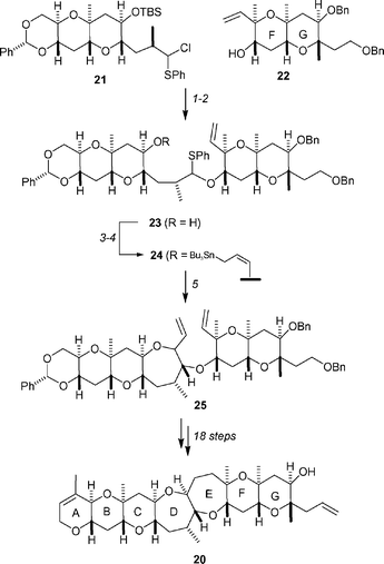 Kadota and Yamamoto's synthesis of the ABCDEFG fragment 20 of brevetoxin B, 19. Reagents and conditions: (1) AgOTf, DTBMP, 4 Å MS, CH2Cl2, −78 °C →
					−10 °C, 81% based on 22; (2) TBAF, THF, rt; (3) γ-methoxyallylstannane, CSA, CH2Cl2, rt, 81% over two steps; (4) TMSI, HMDS, CH2Cl2, 0 °C, 84%; (5) AgOTf, 4 Å MS, CH2Cl2, −78 °C → rt, 84% (dr = 78 : 22).