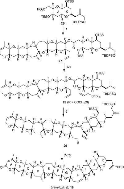 Completion of Kadota and Yamamoto's synthesis of brevetoxin B, 19. Reagents and conditions: (1) 2,4,6-trichlorobenzoyl chloride, Et3N, THF, 40 °C, then 20, DMAP, toluene, rt, 94%; (2) TBAF, THF, 0 °C; (3) γ-methoxyallylstannane, CSA, CH2Cl2, rt; (4) HMDS, TMSI, CH2Cl2, 0 °C, 71%; (5) DIBAL-H, CH2Cl2, −78 °C, then (ClCH2CO)2O, DMAP, pyridine, CH2Cl2, −78 °C, 68%; (6) MgBr2·OEt2, MeCN, 40 °C, 82%; (7) (Cy3P)2Cl2RuCHPh, benzene, 40 °C; (8) PCC, benzene, 80 °C, 81% for two steps; (9) HF·pyridine, CH2Cl2, 0 °C; (10) MnO2, Et2O, rt, 84% over two steps.