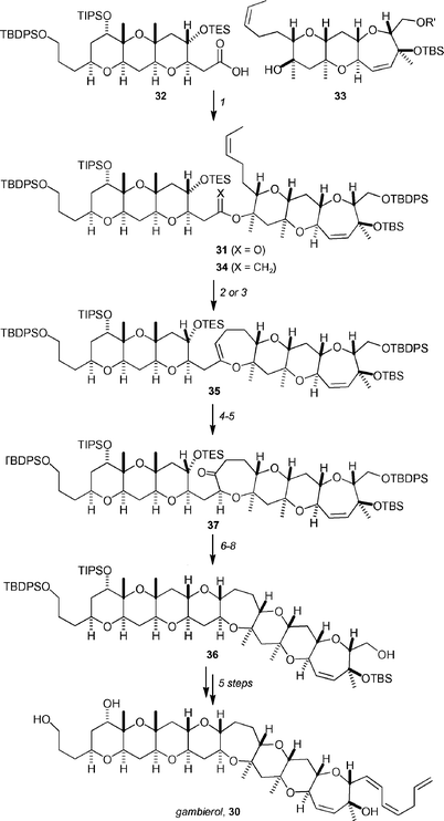 Key steps of Rainer's total synthesis of gambierol. Reagents and conditions: (1) 2,4,6-trichlorobenzoyl chloride, Et3N, THF, 40 °C; DMAP, toluene, 40 °C, 90%; (2) CH2Br2, Zn, PbCl2, TMEDA, TiCl4, CH2Cl2, THF, 30%; (3) CH3CHBr2, Zn, PbCl2, TMEDA, TiCl4, CH2Cl2, THF, 60%; (4) DMDO, CH2Cl2, −78 °C → 0 °C; DIBAL-H, CH2Cl2, 90%; (5) TPAP, NMO, 4 Å MS, CH2Cl2, rt, 97%; (6) CSA, MeOH, 0 °C, 90%; (7) Zn(OTf)2, EtSH, CH2Cl2, rt, 91%; (8) Ph3SnH, AIBN, toluene, 110 °C, 95%.