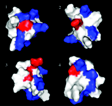 Three-dimensional structures of short peptide toxins from spider venoms and the N-type cone snail toxin MVIIA. Magi5 (Na+, PDB unpublished) 1, phrixotoxin (K+, PDB 1V7F) 2, ω-grammotoxin-SIA (Ca2+, PDB 1KOZ) 3, and MVIIA (Ca2+, PDB 1MVJ) 4. Three-dimensional structure data was obtained from the Protein Data Bank and the structures were displayed by the software PyMOL.81 Each panel represents an arbitrary view of the structure showing the basic (blue) and acidic (red) residues.