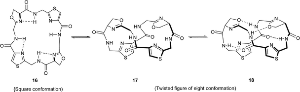 Conformations of ascidiacyclamide and patellamides A–D.