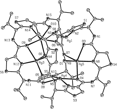 X-Ray crystal structure of a silver sandwich complex of the cyclic tetramer 44.