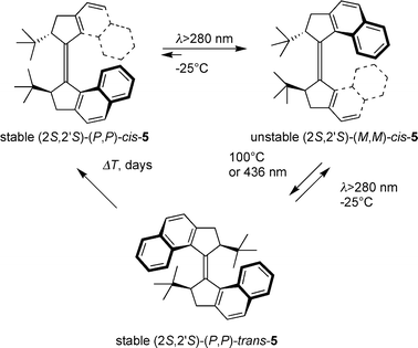 
            Photochemical and thermal isomerisations of tert-butyl substituted alkene 5.