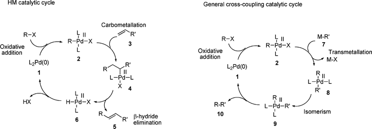 Comparison of HM mechanism with that of a generalised palladium catalysed cross-coupling reaction.