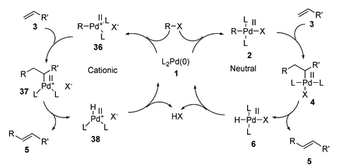 Comparison of cationic and neutral HM cycles.
