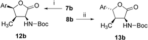 Lactone 12b,13b synthesis, absolute configuration elucidation. (i) a: 12 M HCl, rt, 1 h, filtration, 100%; b: (Boc)2O, NEt3, dioxane, 50%, 12 : 13 ratio 98 : 2; (ii) a: Boc2O, NEt3, CH2Cl2, 30 °C, b: DCC, CH2Cl2, 5 min (dr 81 : 19), chromatography, 28% of 13b, 12 : 13 ratio 2 : 98.