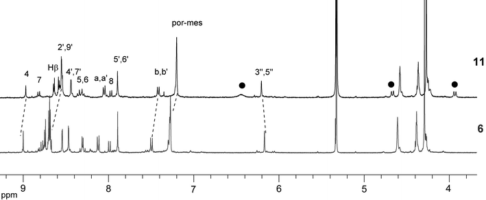 Aromatic region in the 1H NMR spectra of 6 and 11. The solid black circles represent the shifts of the 3,5-H and the pyrrolidine protons.