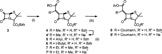 Synthetic route: (i) ROC(O)CR′PPh3, −55 °C; (ii) (a) AlCl3, −84 °C, (b) NaHCO3, freeze dry; (iii) (a) 5, Pd(PPh3)4, sodium p-toluene sulfinate, THF–H2O, (b) 7-hydroxy-4-methylcoumarin, DCC.