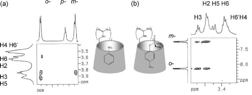 Partial 2D ROESY NMR spectra in D2O of (a) nitrobenzene–4b; (b) 4-nitrophenyl phosphate disodium salt–4b and model representations of the respective inclusion complexes.