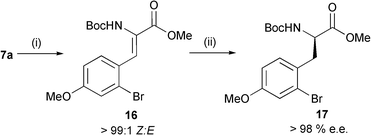 
          Reagents and conditions i, BocNHCH(PO(OMe2))CO2Me, N,N,N′,N′-tetramethylguanidine (TMG), CH2Cl2 (99%); ii, [((R,R)–Et-DuPHOS)Rh(COD)]BF4 (1.5 mol%), H2 (5 bar), MeOH (100%).