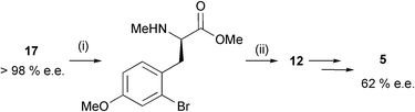 
          Reagents and conditions: i, NaH (1.2 eq.), MeI, DMF, r.t. then TFA (82%); ii, LiAlH4, THF, 0 °C, (93%).