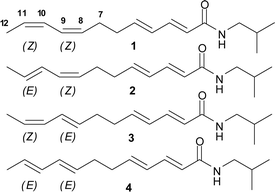 Four geometric isomers about the 8,10 double bonds of isobutyldodeca-2(E), 4(E), 8, 10-tetraenamide are possible. Only 1, 2 and 3 were identified in E. purpurea and E. angustifolia.