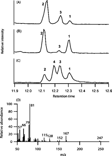 GC/MS trace of E. angustifolia (A) and E. purpurea (B) root extracts and synthetic standards (C). Mass spectrum of 3 (D).