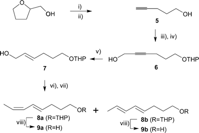 
          Reagents and conditions: i) SOCl2, pyridine, 84%; ii) NaNH2, NH3 liq, 91%; iii) DHP, TsOH, CH2Cl2, 88%; iv) a) nBuLi, THF, −78 °C; b) (CHO)n, 84%; v) LiAlH4, Et2O, reflux, 85%; vi) a) DMSO, (COCl)2, DCM, −78 °C, then Et3N; b) Ph3PCHCH3, Et2O, −78 °C; vii) silica gel–AgNO3 chromatography, 22% 8a, 18% 8b; viii) TsOH, MeOH, 91% 9a, 89% 9b.