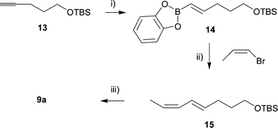 
          Reagents and conditions: i) catechol borane, 60 °C, 4 hr, 92%; ii) Pd(PPh3)4, NaOEt, benzene, 60 °C, 2 h, 77%; iii) MeOH, conc. HCl, 25 °C, 91%.