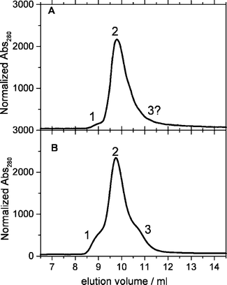 Elution profile of 2 different YtvA preparations. Peak 1 corresponds to Mw = 2.32 × MwYtvA (MwYtvA = 31.36 kDa); peak 2 corresponds to Mw = 1.56 × MwYtvA; peak 3 corresponds to Mw = 1.12 × MwYtvA. A. YtvA : FMN = 1 : 1 (no apoprotein). B. YtvA : FMN ≈ 2 : 1 (apoprotein is present).