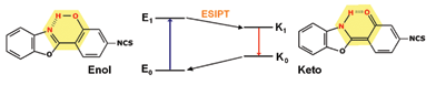 ESIPT mechanism of the isothiocyanate benzoxazole dye.