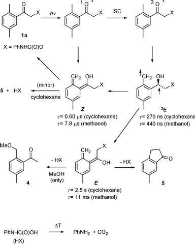 Photochemistry of 1a.