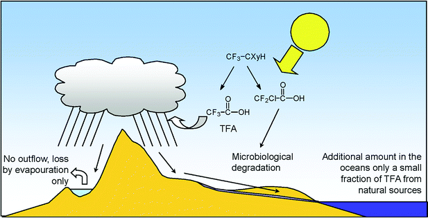 Questions And Answers About The Effects Of The Depletion Of The Ozone Layer On Humans And The Environment Photochemical Photobiological Sciences Rsc Publishing Doi 10 1039 B700024c