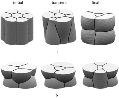 (a) 2d to 3d transition with petals suffering a wine bottle instability and (b) several possible configurations after the 2d to 3d transition (adapted from ref. 11).