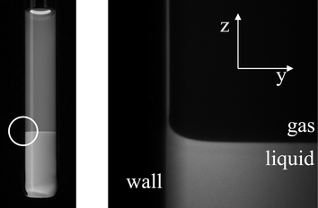 The left image is a photograph of a phase separated mixture of fluorescently labelled poly(methylmethacrylate) colloids (PMMA, σc = 50 nm) and poly(styrene) polymer (molecular weight Mw = 233 kg mol−1) in decalin, which has been taken under UV-light. The very sharp interface can be clearly seen. The image on the right is a “blow-up” of the encircled region by means of laser scanning confocal microscopy or LSCM (dimensions 350 µm by 350 µm).12