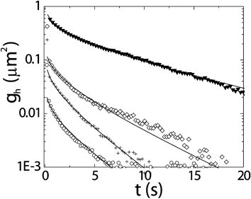 Dynamic height–height correlation functions characterising the free liquid–gas interface as obtained from quantitative analysis of LSCM pictures as in Fig. 3 approaching the critical point from the bottom to the top curve. Experimental results (symbols) are compared with predictions from the capillary wave model (lines). In this model the input only comes from macroscopic quantities such as the interfacial tension, the density difference and the viscosity, but it clearly describes the microscopic data accurately.13