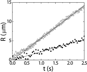 The time evolution of the radius R of the neck in a colloid–polymer mixture for gas droplets (open symbols; three different events with initial diameters of D = 32, 34 and 36 µm) and liquid droplets (closed symbols; two different events with D = 30 and 34 µm). Full curves are linear fits to the data.18