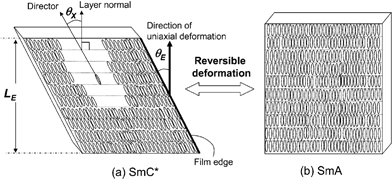 Schematic model explaining shape-changing behavior of elastomer film with molecular realignment. The elastomer film is based on a siloxane backbone with two different mesogenic moieties linked statistically to the monomer units. The macroscopic symmetry defined by the shape of the SmC* elastomer film corresponds to the microscopically local symmetry due to the molecular alignment of the liquid crystalline phase of SmC*. Fig. 7 (a) displays the SmC* phase with its sample length LE and the molecular tilt angle θx resulting in the elastomer film tilt angle θE. Upon heating the LC moieties reversibly rearrange into the SmA phase resulting in a lower θx and therefore a lower θE (b). LE = sample length; θx = molecular tilt angle; θE = tilt angle of the elastomer film (taken from ref. 56). Reprinted with permission from Macromolecules, 2005, 7352–7357. Copyright 2005 American Chemical Society.