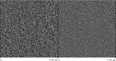 SFM image (left: height image, right: phase image) of a spin-coated sample from a 1 g L−1 solution of the MeOx33–EtOx33–PhOx33 copolymer in ethanol.