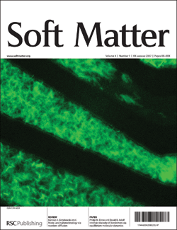 Outside cover of theme issue on Proteins and Cells at Functional Interfaces, Soft Matter Issue 3, 2007 (image by Nicholas Melosh, Matthew Footer and Ian Wong).