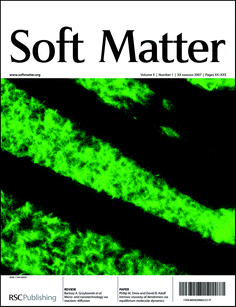 Outside cover of this theme issue (image by Nicholas Melosh, Matthew Footer and Ian Wong).