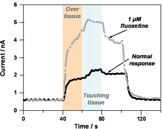Continuous amperometric i–t curves for 5-HT release from enterochromaffin cells of the guinea pig intestine. The measurements were made with a diamond microelectrode poised at 700 mV vs. Ag/AgCl. Krebs' buffer, pH 7.4, was flowing through the bath at 2 mL min−1.