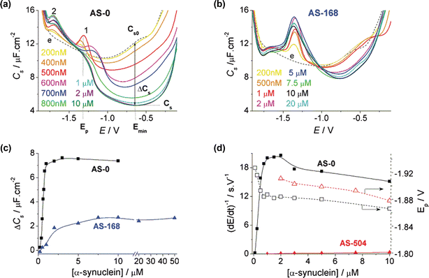 Dependence of interfacial properties on the concentration of native and aggregated α-synuclein (AS). (a,b) Adsorptive transfer stripping (AdTS, ex situ) C–E curves of AS. Dependence on concentration of (a) native AS (untreated AS-0) and of (b) aggregated (168 h treated, AS-168). In (a) the schematic representations of C–E curves of AS (—), and e, the background electrolyte (), are also shown. Emin is the potential at which the differential capacityCs reaches its minimum value; Cs is the differential capacity of the AS-modified hanging mercury drop electrode (HMDE) at the given potential; Cs0 is the differential capacity of the bare HMDE in the background electrolyte; ΔCs = Cs – Cs0; Ep is the peak potential. (c) Dependence of ΔCs at –0.65 V on the concentration of AS-0 (–■–) and AS-168 (–▲–). (d) Dependence of height (—) and peak potential, Ep () of the chronopotentiometric peak H on the concentration of untreated AS-0 (black) and aggregated fibrils AS-504 (red). AS was adsorbed at the HMDE from a 5 µl drop for the accumulation time (tA) 60 s at open current circuit. The AS-modified HMDE was washed and transferred into an electrolytic cell containing 10 ml of a blank background electrolyte (50 mM Na phosphate, pH 7.0) and the C–E curve was measured. For details see the Experimental section. Conditions of aggregation: 100 µM AS in 0.1 M NaCl, 25 mM Tris-HCl, pH 7.3, was stirred at 300 rpm at 37 °C; samples were withdrawn at the indicated time intervals.