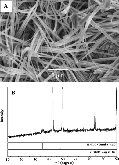 (A) SEM images of CuO nanowires. Scale bars: 1 µm. (B) XRD of CuO nanowires on the Cu surface.