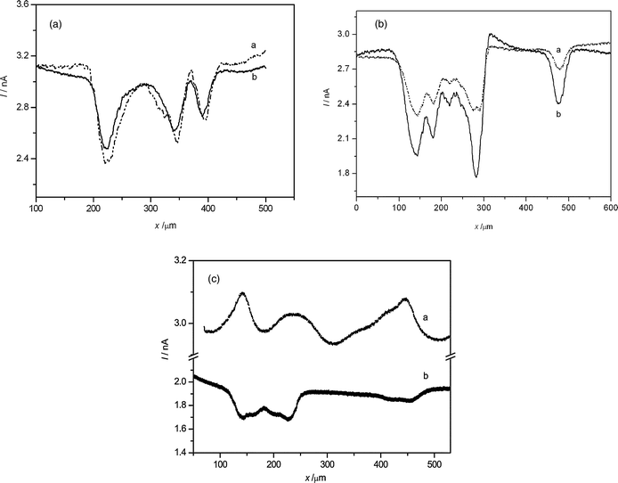 Feedback currents for the lateral scanning of the Hela cell arrays using (a) K3IrCl6 and (b) K3Fe(CN)6 in 150 mM NaNO3. There were no silver nanoparticles (A) or different concentrations (B: low, C: 10 times greater than that of B) of AgNPs interacting with the Hela cells. The scan rate was 30 μm s−1.