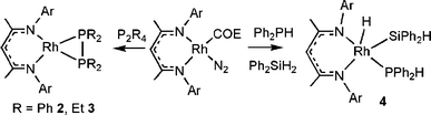Synthesis of 2, 3 and 4.