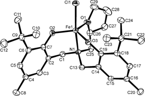 The molecular structure (ORTEP) and numbering scheme for 1. Ellipsoids are shown at 30% probability. Selected bond distances (Å) and angles (°): Fe1–O3 1.850(2), Fe1–O2 1.854(2), Fe1–O1 2.074(3), Fe1–N1 2.223(3), Fe1–Cl1 2.2739(10), O1–C29 1.452(5), O1–C26 1.468(5), O2–C7 1.346(4), O3–C19 1.352(4); O3–Fe1–O2 118.39(10), O3–Fe1–O1 119.00(11), O2–Fe1–O1 119.60(11), O3–Fe1–N1 87.62(10), O2–Fe1–N1 89.37(10), O1–Fe1–N1 75.79(10), O3–Fe1–Cl1 100.81(8), O2–Fe1–Cl1 96.60(8), O1–Fe1–Cl1 89.98(8), N1–Fe1–Cl1 165.69(8).