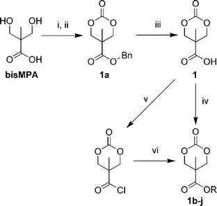 Synthesis of 1-type monomers from bis-MPA. Conditions: (i) BnBr, KOH, DMF, 100 °C, 15 h, 62%. (ii) Triphosgene, pyridine, CH2Cl2, –78 → 0 °C, 95%. (iii) Pd/C (10%), H2 (3 atm), EtOAc, RT, 24 h, 99%. (iv) ROH, DCC, THF, RT, 16 h. (v) (COCl)2, THF, RT, 1 h, 99%. (vi) ROH, NEt3, RT, 3 h.