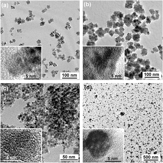 
          TEM and HRTEM images (insets) of (a) CoO, (b) MnO, (c) Fe3O4, and (d) BaTiO3.