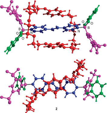 Molecular structure of rotaxane 2 in the crystal. Bottom: view along the C2 symmetry axis; top: view from the side. Only one of the two crystallographically-independent rotaxanes is shown. The co-crystallized toluene molecules are also not shown for clarity.