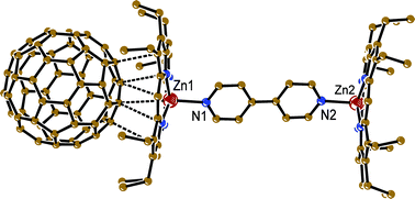 Van der Waals contacts between C60 molecule and coordination ZnOEP2·BPy dimers in 1 (dashed lines). Only one most occupied orientation was shown for disordered C60.