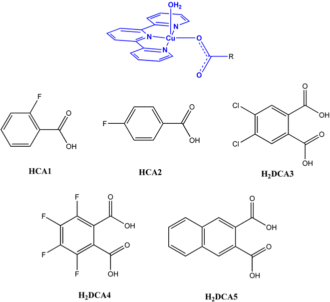 Tecton and the different carboxylic acids used in this study.