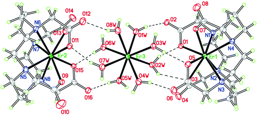 View of the formation of the sandwich-type structure in complex 1, showing the hydrogen-bonding interactions. Lattice water molecules and dissociative nitrate anions are omitted for clarity.