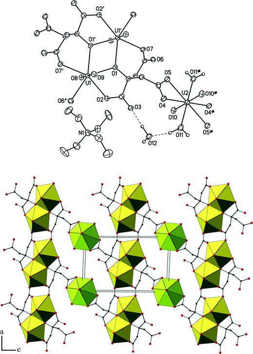 Top∶ View of the complex [NEt4]2[(UO2)3(cit)2(H2O)2]·2H2O 2. Carbon-bound hydrogen atoms are omitted for clarity. Hydrogen bonds are shown as dashed lines. Displacement ellipsoids are drawn at the 50% probability level. Symmetry codes∶ see Table 2. Bottom∶ View of one layer showing the uranium coordination polyhedra (green∶ six-coordinate, yellow∶ five-coordinate uranyl ions); the other atoms are shown as spheres of arbitrary radii; the counter-ions, solvent molecules and hydrogen atoms are omitted for clarity.