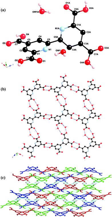 (a) Molecular structure and atomic numbering scheme for H4tcbp·2H2O. Bipyridyl hydrogen atoms omitted for clarity. Symmetry operator: a = –x, y, 0.5 – z. (b) Packing diagram of H4tcbp·2H2O showing 1D hydrogen bonded chains linked to adjacent chains through water molecules to form a wavelike 2D hydrogen bonded sheet. (c) 3-Fold interweaved 3D H4tcbp·2H2O hydrogen bonded network, wherein the 2D sheets hydrogen bond to one another through water molecules. The three networks are presented in blue, red and green.