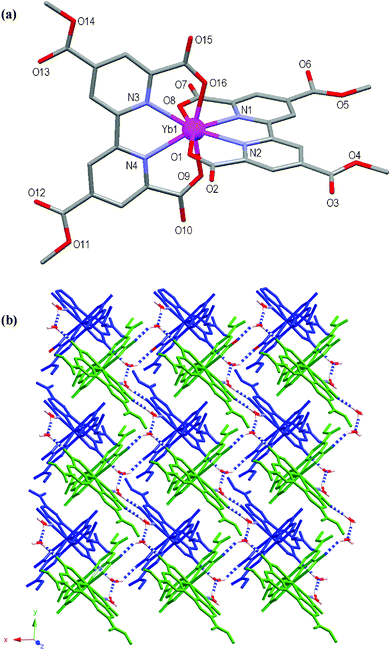 (a) Molecular structure and atomic numbering scheme for 1. Hydrogen atoms and lattice hydronium ion, water and methanol molecules are omitted for clarity. (b) Packing diagram of 1 showing a 2D sheet (green) hydrogen bonding to another 2D sheet (blue) to form a bilayer. Blue and white dashed bonds depict hydrogen bonds. Hydrogen atoms not involved in hydrogen bonding and methanol molecule are omitted for clarity.