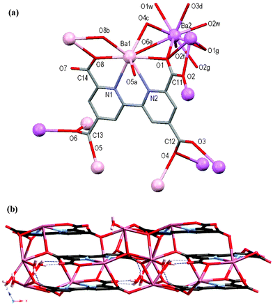 (a) Molecular structure and atomic numbering scheme for 5 with symmetry equivalents of Ba1 (pink) and Ba2 (violet) showing further coordination of the carboxylate oxygen atoms. Hydrogen atoms omitted for clarity. Symmetry operators: a = 0.5 – x, 1.5 – y, –z; b = 0.5 – x, 0.5 – y, –z; c = x, –1 + y, z; d = 1 – x, –1 + y, 0.5 – z; e = 0.5 – x, –0.5 + y, 0.5 – z; f = x, 1 – y, 0.5 + z; g = 1 – x, y, 0.5 – z. (b) Packing diagram of the 3D network of 5 viewed down the crystallographic b-axis. Hydrogen bonds are shown as dashed blue lines.