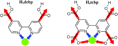 The structures of H2dcbp and H4tcbp showing their potential connectivity through carboxylate and 2,2′-bipyridine coordination sites.